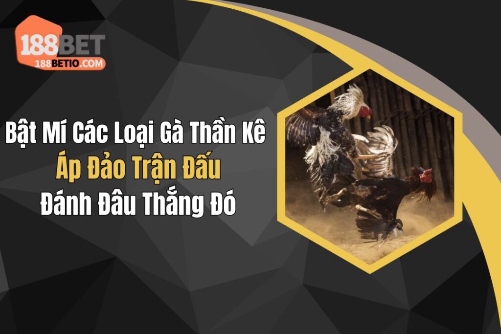 Các Loại Gà Thần Kê Áp Đảo Trận Đấu, Đánh Đâu Thắng Đó 6 Các Loại Gà Thần Kê Áp Đảo Trận Đấu, Đánh Đâu Thắng Đó