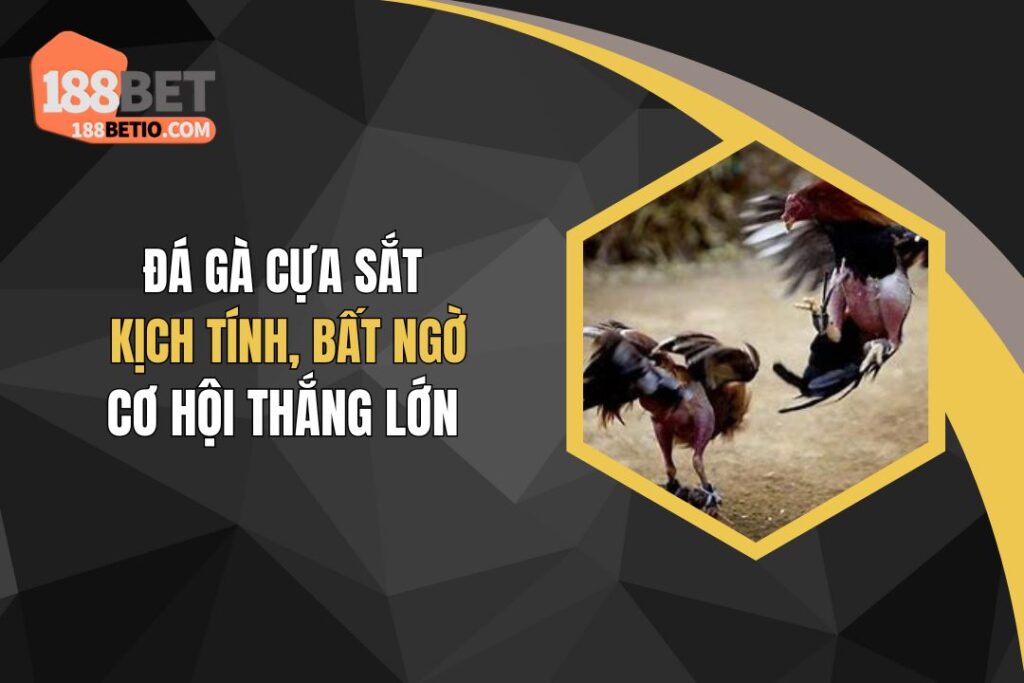 Đá Gà Cựa Sắt Kịch Tính, Bất Ngờ, Cơ Hội Thắng Lớn 6 Đá Gà Cựa Sắt Kịch Tính, Bất Ngờ, Cơ Hội Thắng Lớn