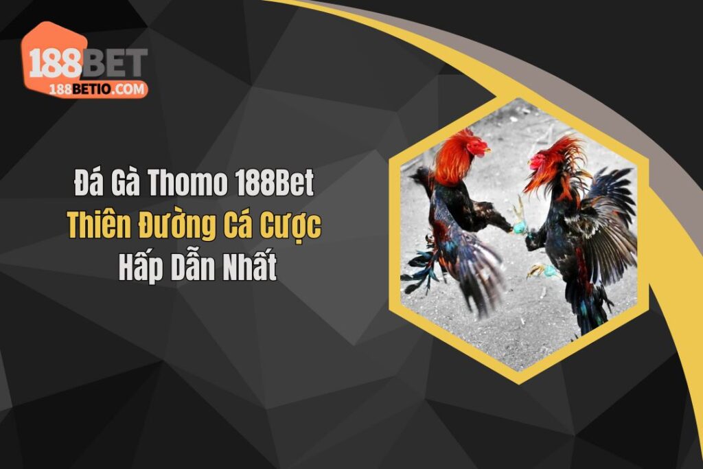 Đá Gà Thomo 188Bet: Thiên Đường Cá Cược Hấp Dẫn Nhất 6 Đá Gà Thomo 188Bet: Thiên Đường Cá Cược Hấp Dẫn Nhất