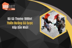 Đá Gà Thomo 188Bet: Thiên Đường Cá Cược Hấp Dẫn Nhất